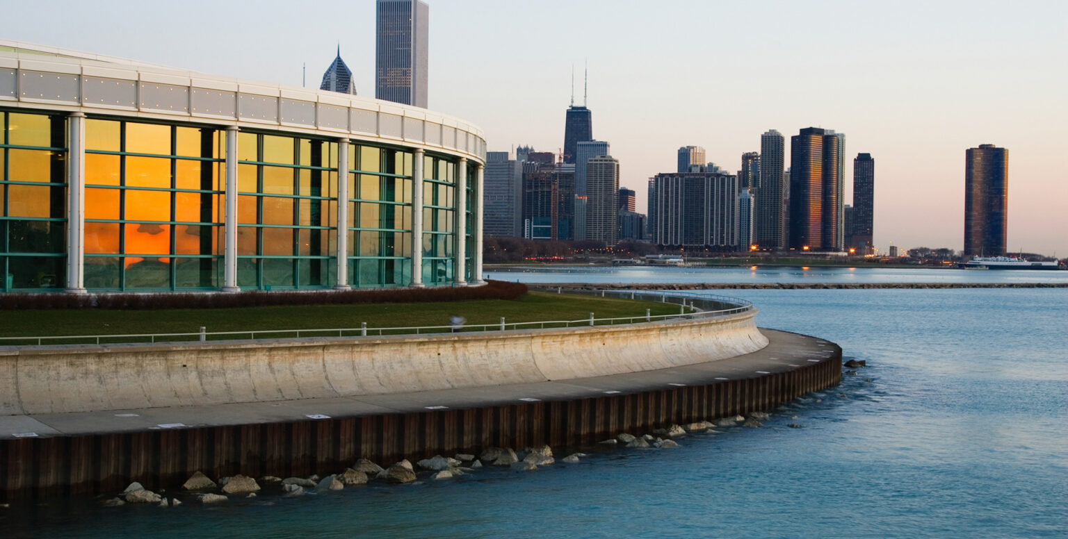 The Chicago Aquarium