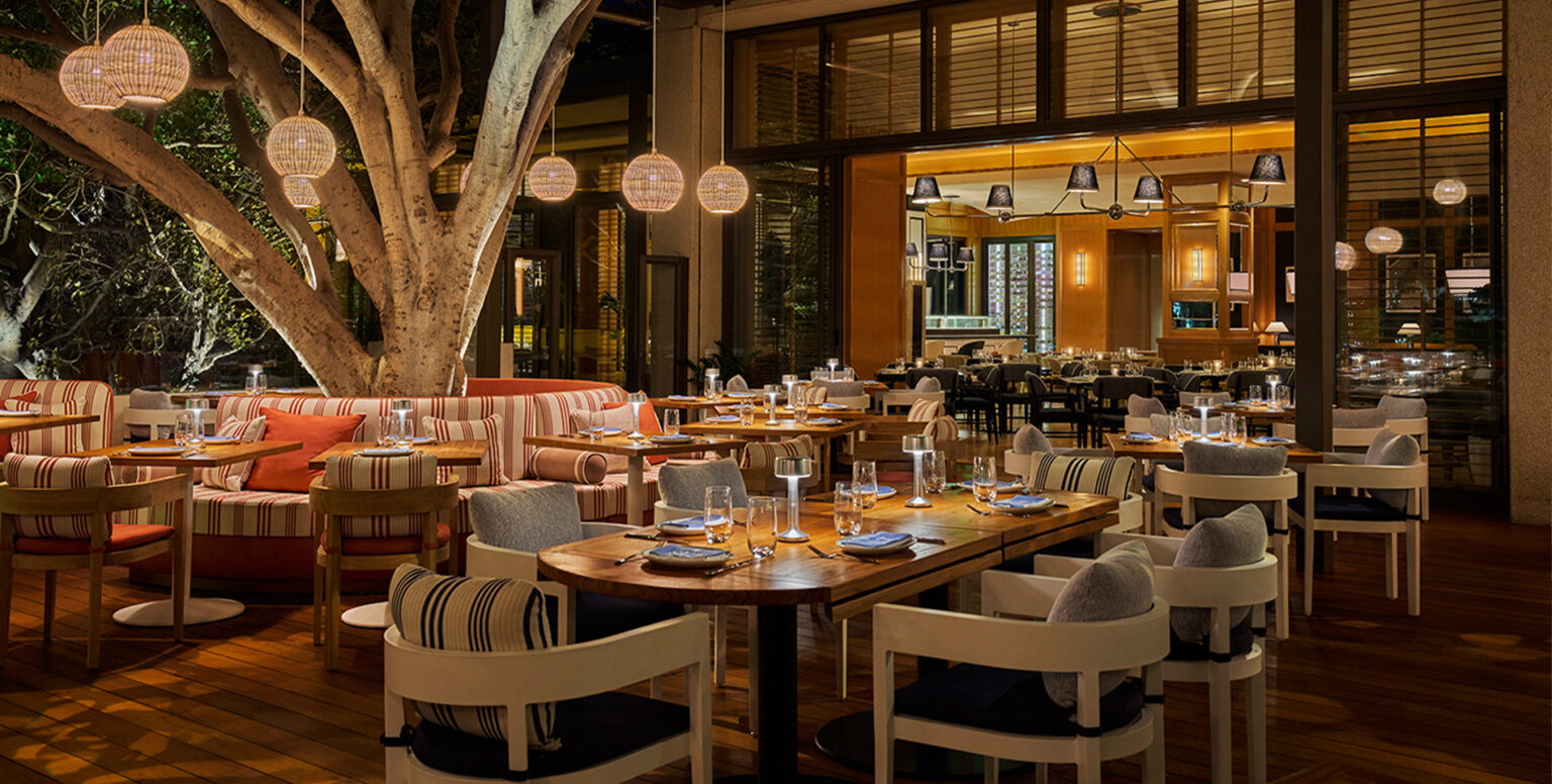 Outdoor seating at SET Steak & Sushi with light fixtures hanging from a tree