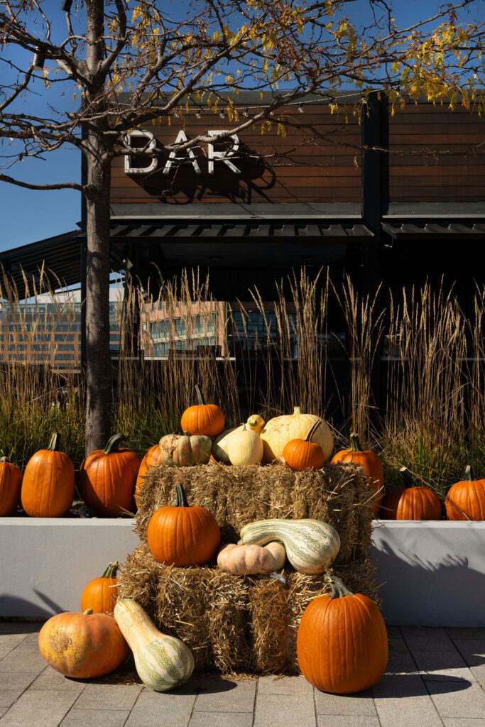 Harvest on the Harbor