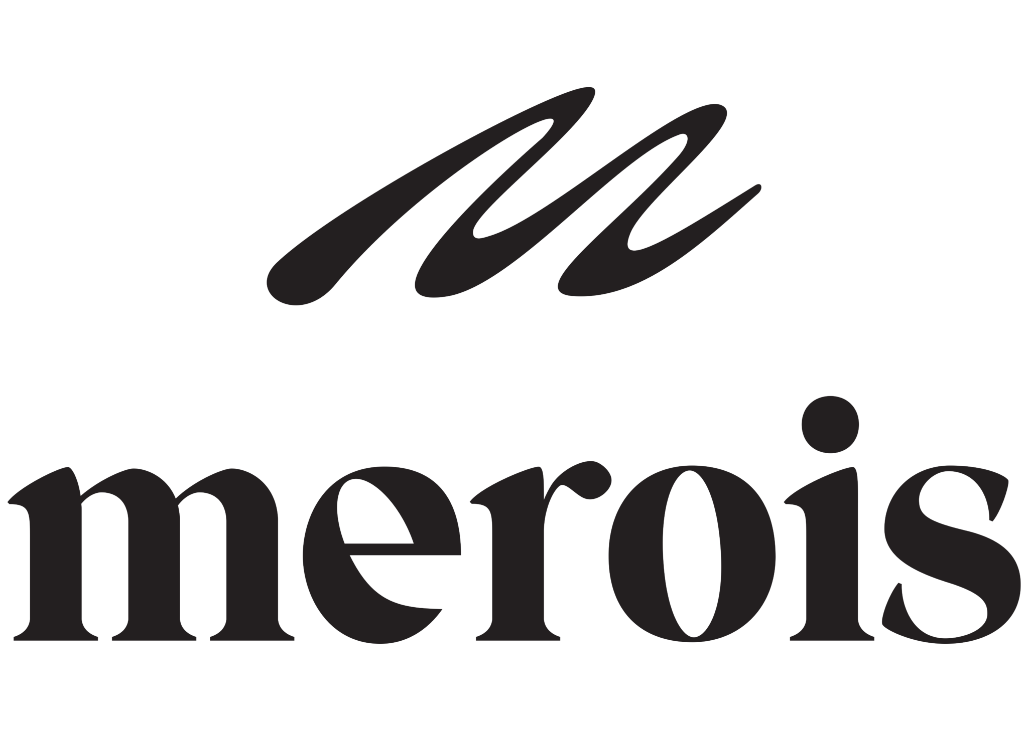 Merois logo