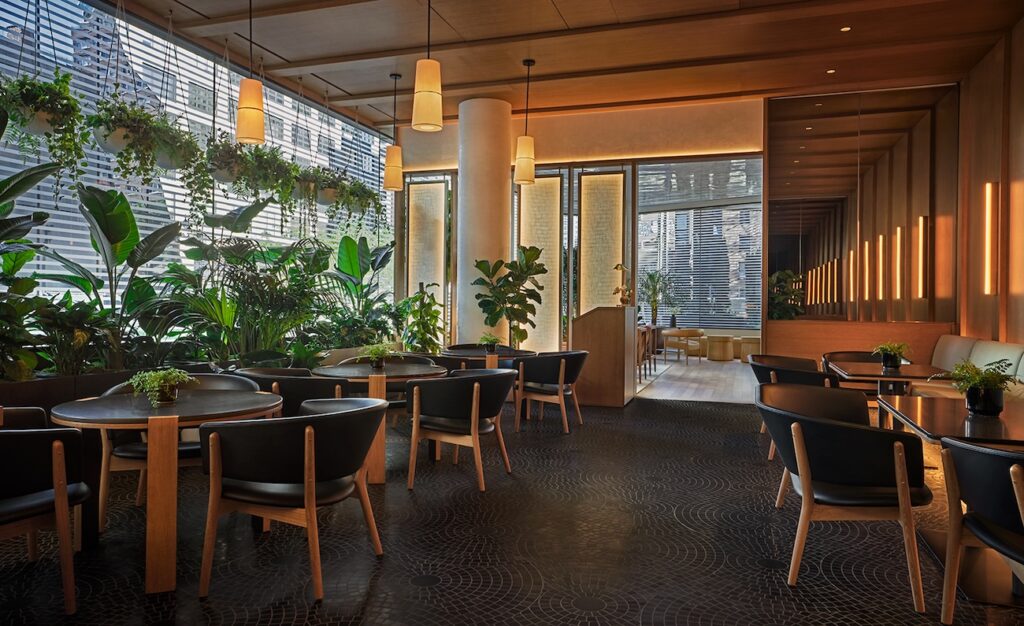 Modern restaurant dining room with wooden furniture and lush greenery