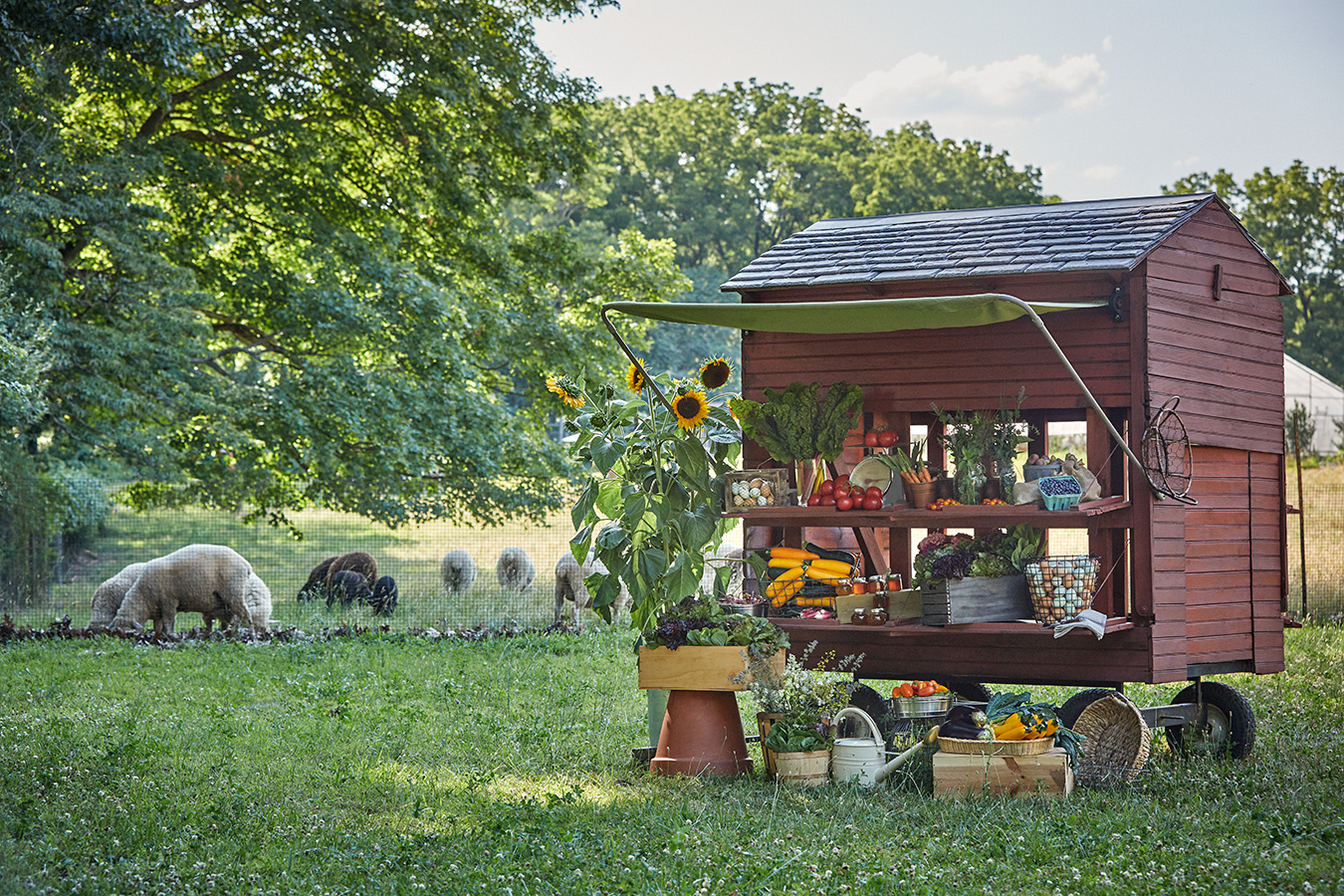 A Farmstand at Pendry Naitrar