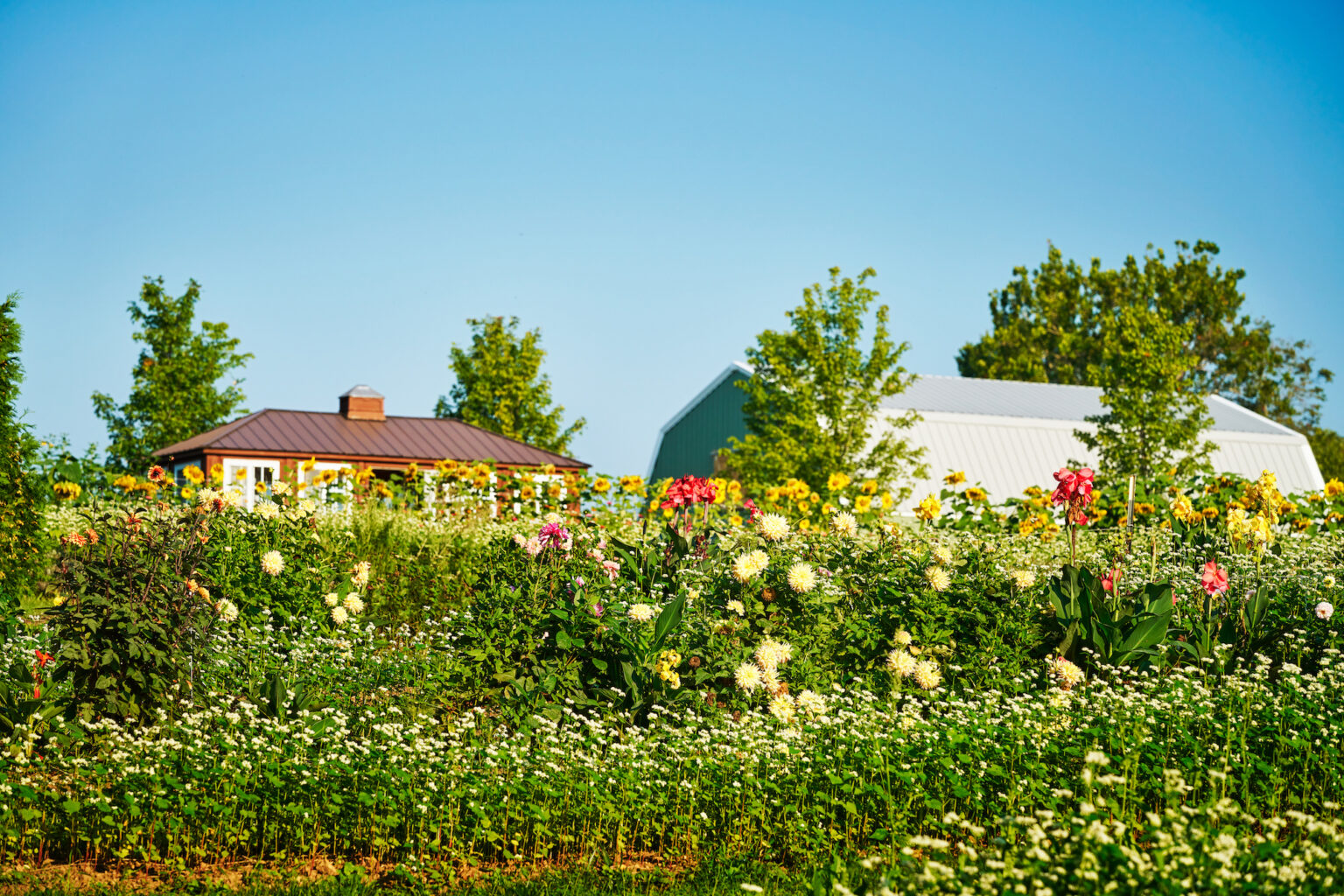The Farm at Pendry Natirar