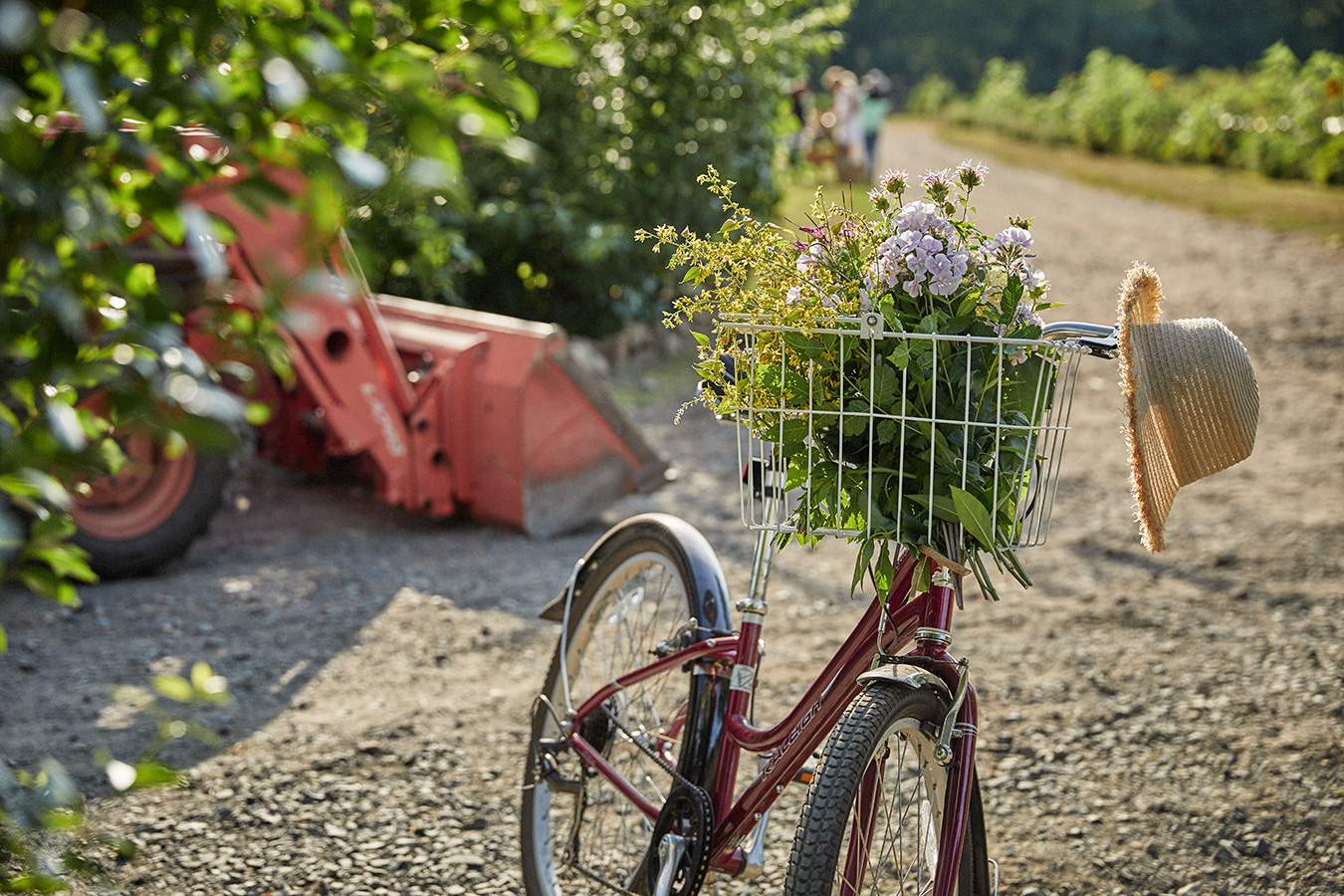 Vintage-style bicycle with a basket full of fresh flowers and a straw hat hanging on the handlebar