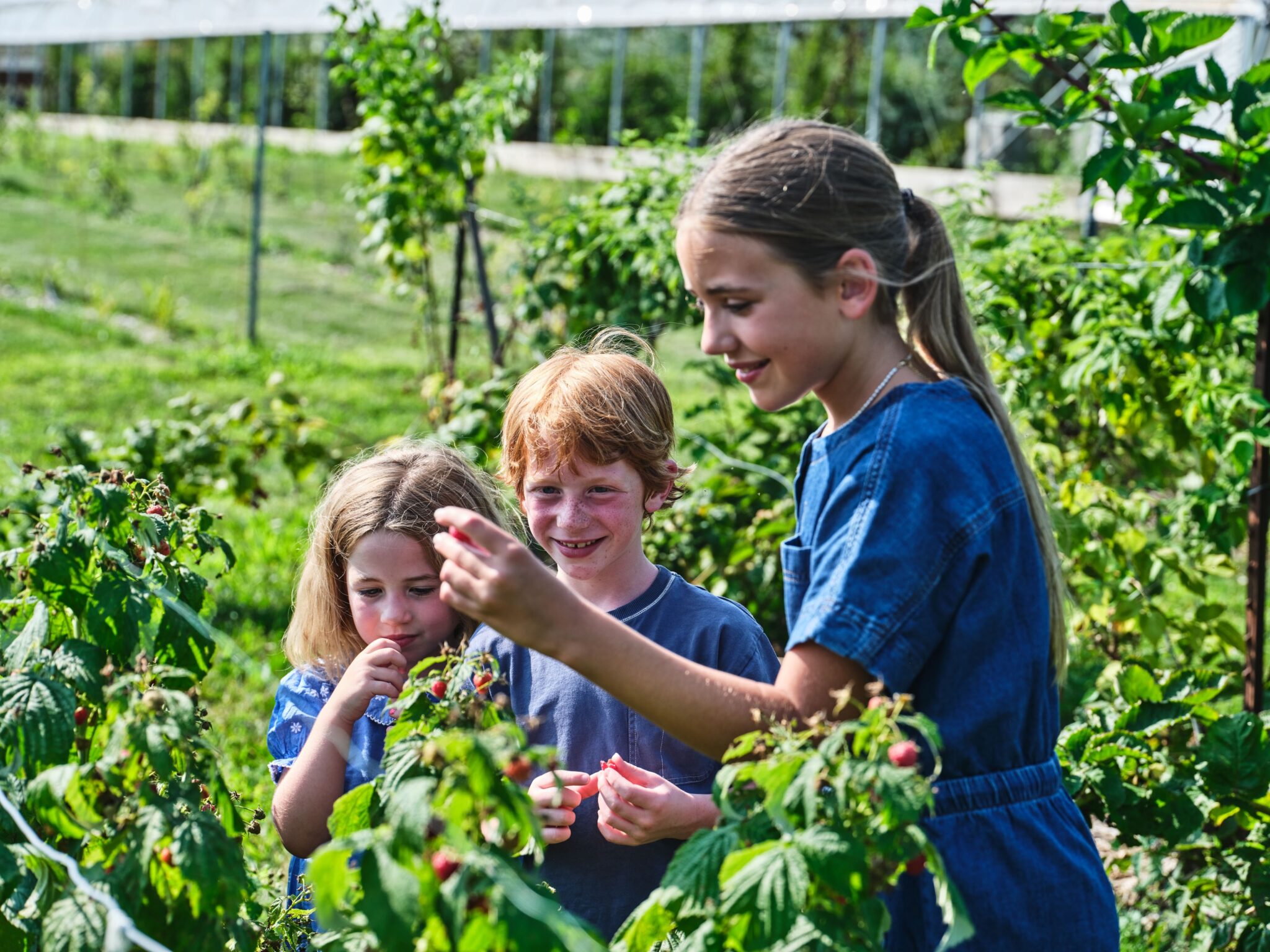 Pendry Natirar Couple Family Farm