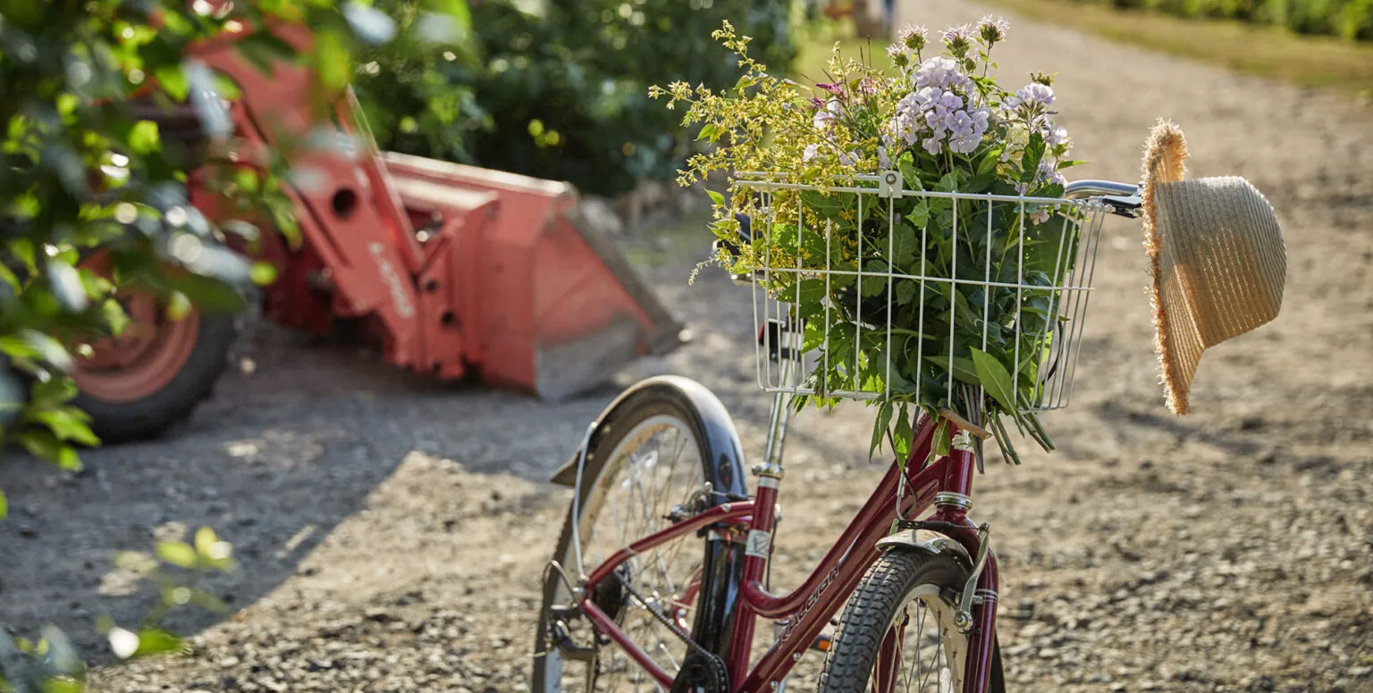 A bike with flowers in the basket and a hat hanging on the handle bars