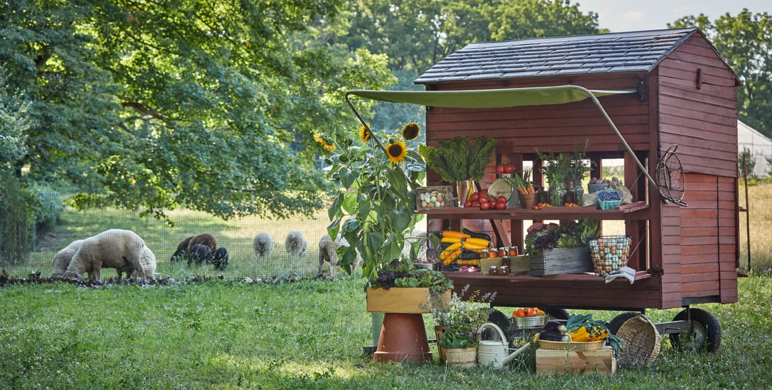 A small farmstand on wheels with flowers on it parked on the farm of Pendry Natirar, with sheep in the background