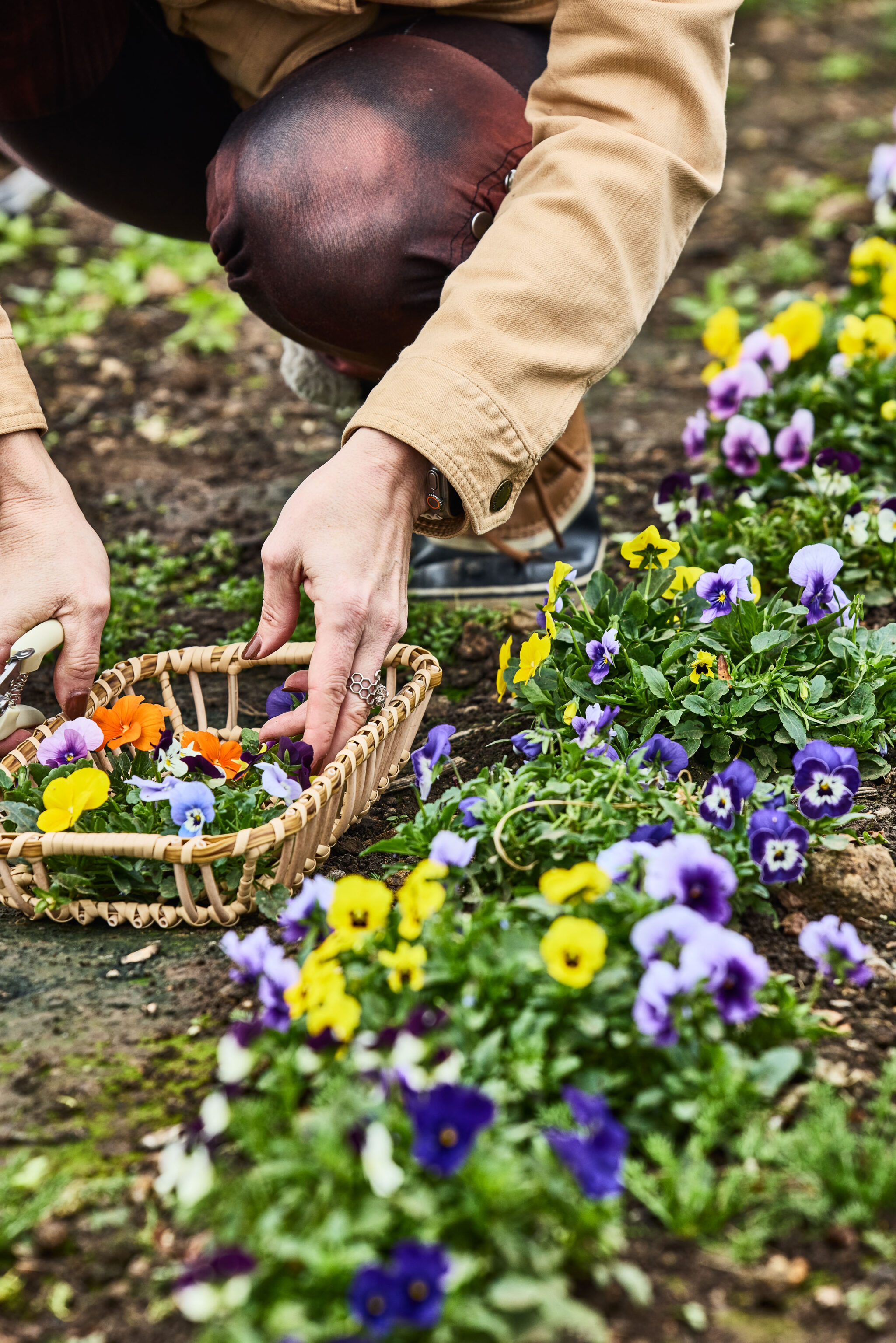 Flower Workshop