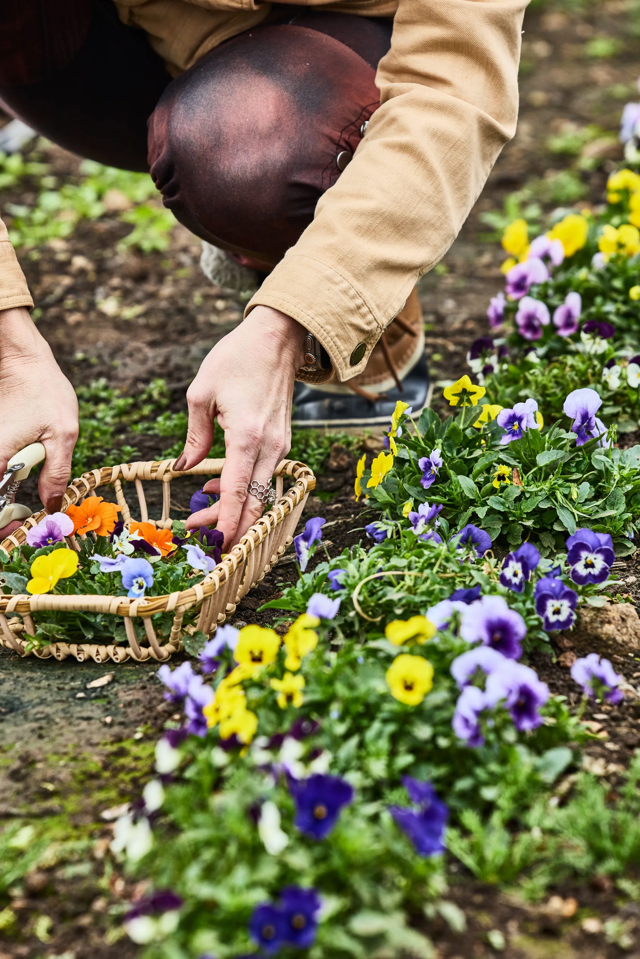 Flower Workshop
